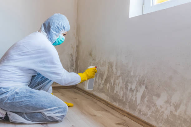 Mold inspector in Elmont performing thermal imaging